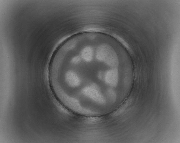 X0000110990848200906261448