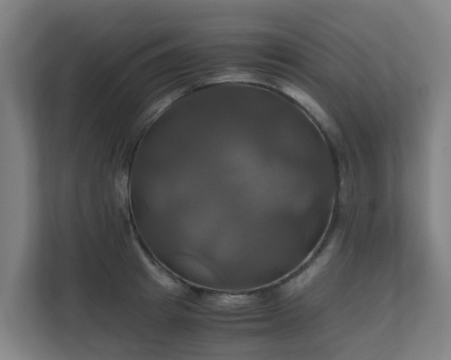 X0000110990849200906261448