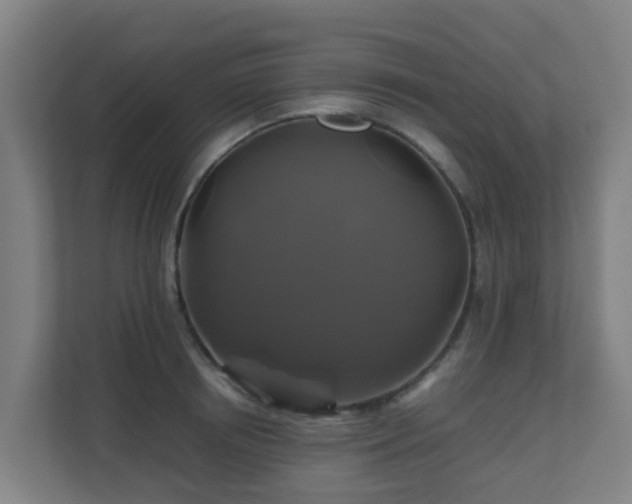 X0000110990850200906261448