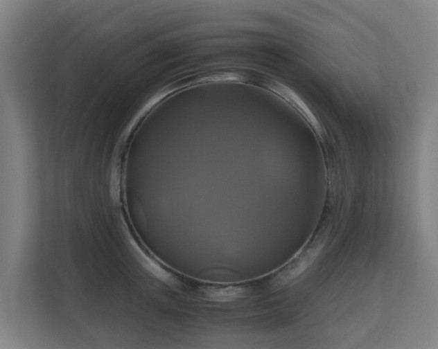 X0000110990851200906261448