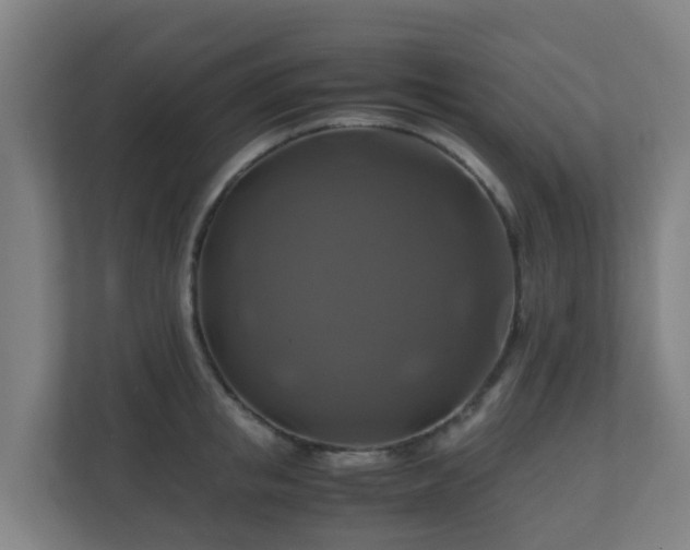X0000110990853200906261448