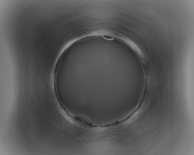 X0000110990854200906261448