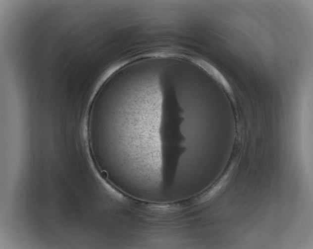 X0000110990855200906261448