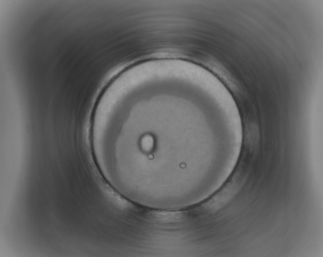 X0000110990856200906261448