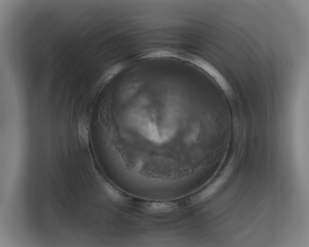 X0000110990857200906261448