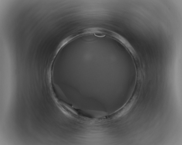 X0000110990858200906261448