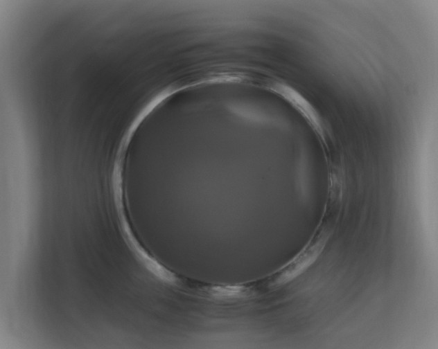 X0000110990859200906261448