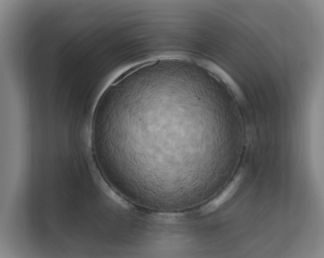 X0000110990860200906261448