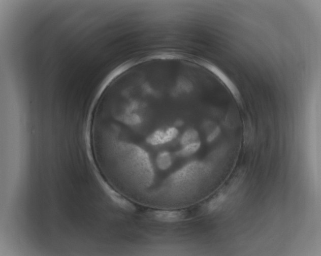 X0000110990861200906261448