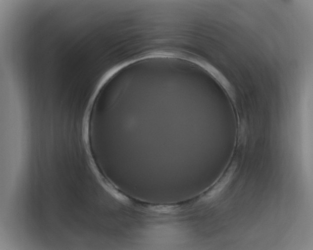 X0000110990862200906261448