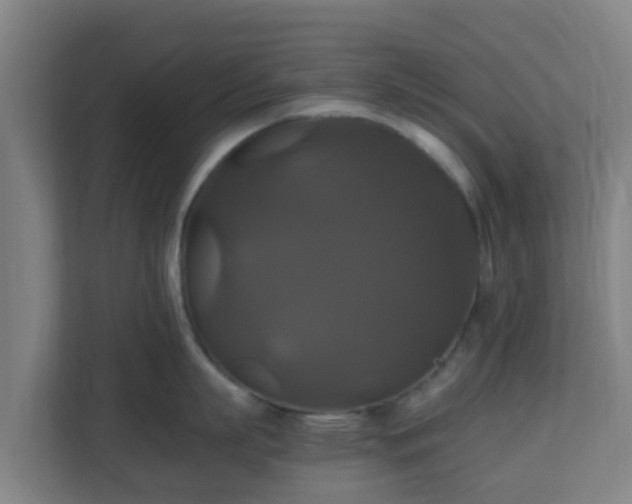 X0000110990863200906261448