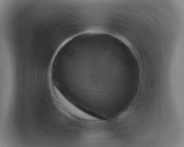 X0000110990864200906261448
