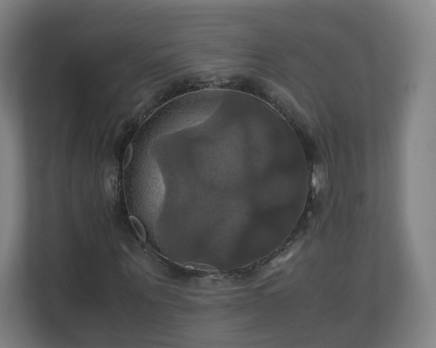 X0000110990867200906261447
