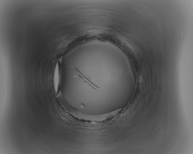 X0000110990868200906261447