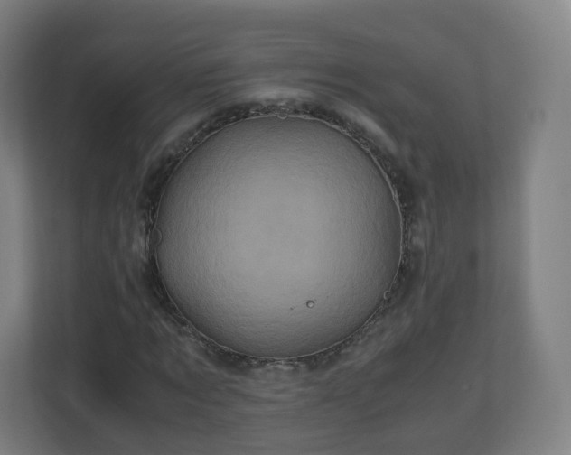 X0000110990869200906261447
