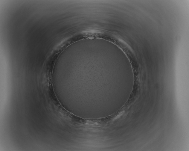 X0000110990870200906261447