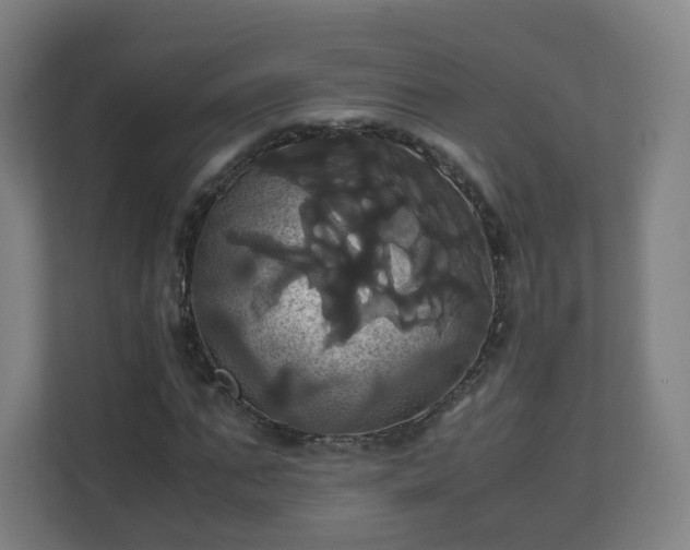 X0000110990871200906261447