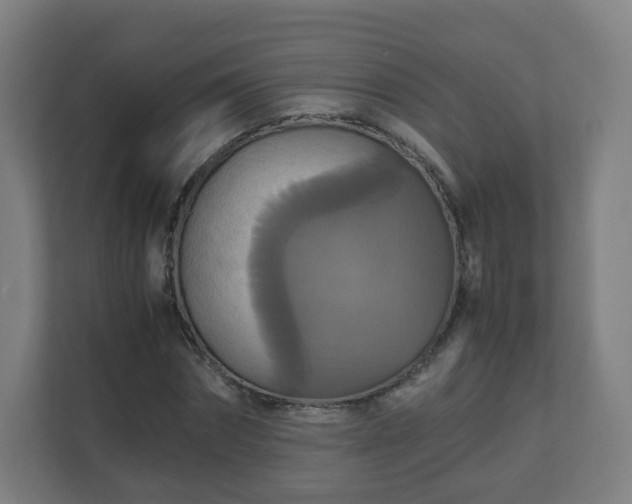 X0000110990874200906261447