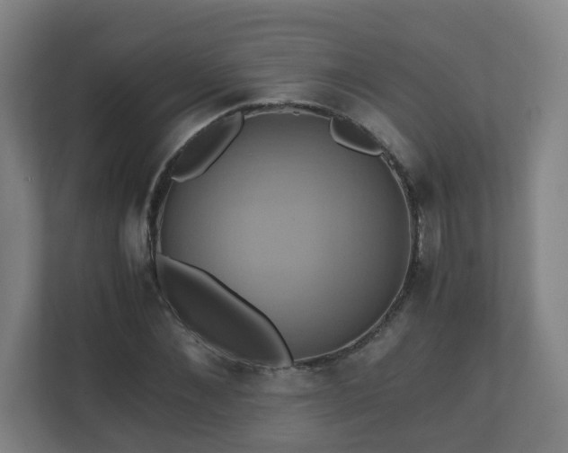 X0000110990876200906261447