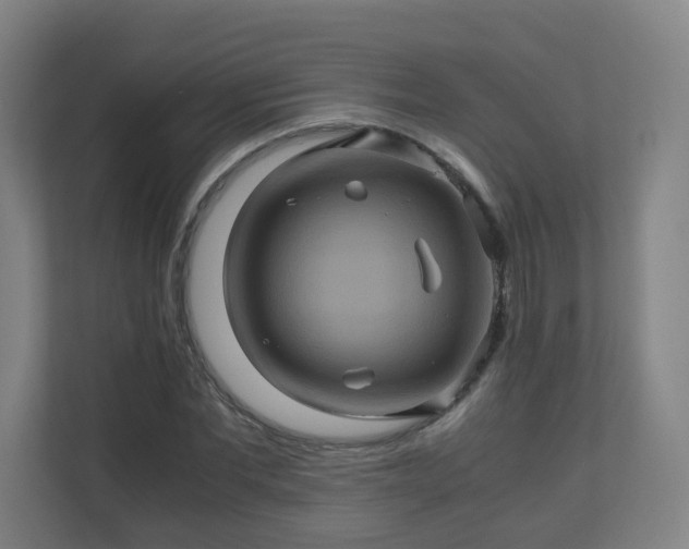 X0000110990877200906261447