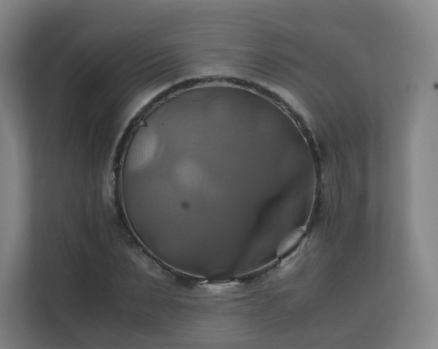 X0000110990879200906261447