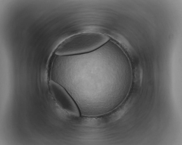 X0000110990880200906261447