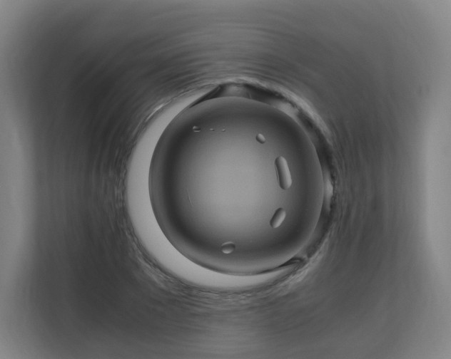 X0000110990881200906261447