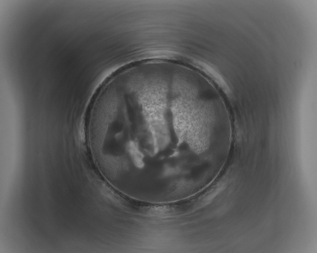 X0000110990883200906261447