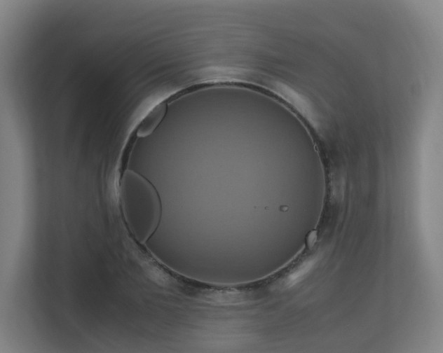 X0000110990885200906261447