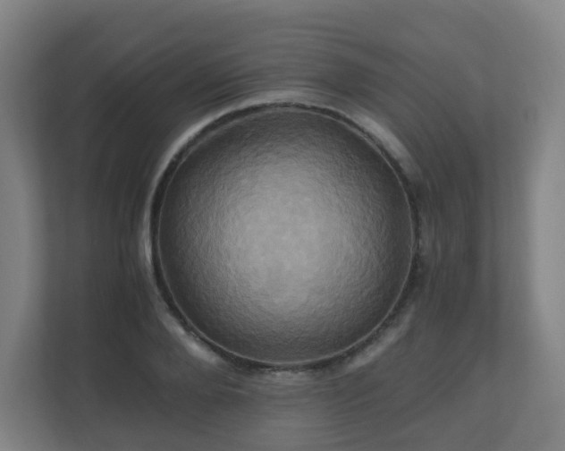 X0000110990888200906261447
