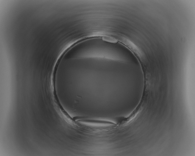 X0000110990892200906261447