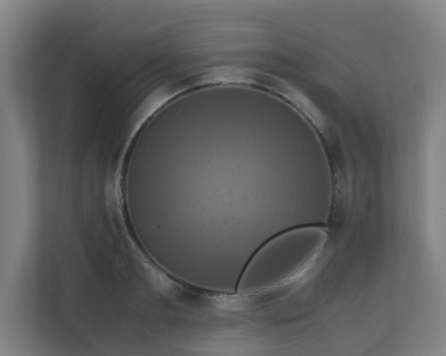 X0000110990893200906261447