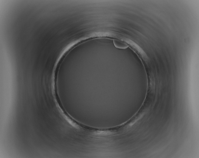 X0000110990894200906261447