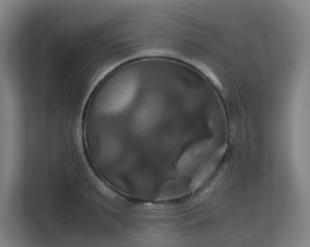 X0000110990895200906261447