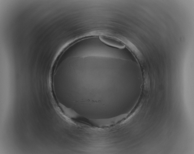 X0000110990896200906261447