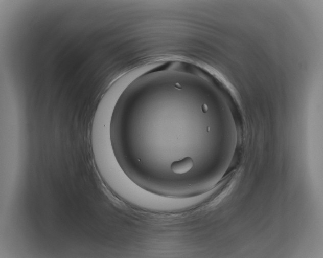X0000110990897200906261447