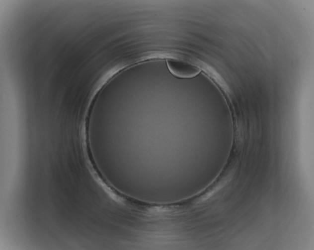X0000110990898200906261447