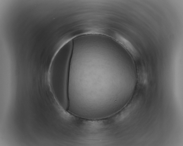 X0000110990900200906261447