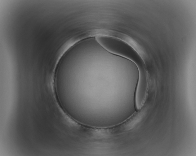 X0000110990901200906261447