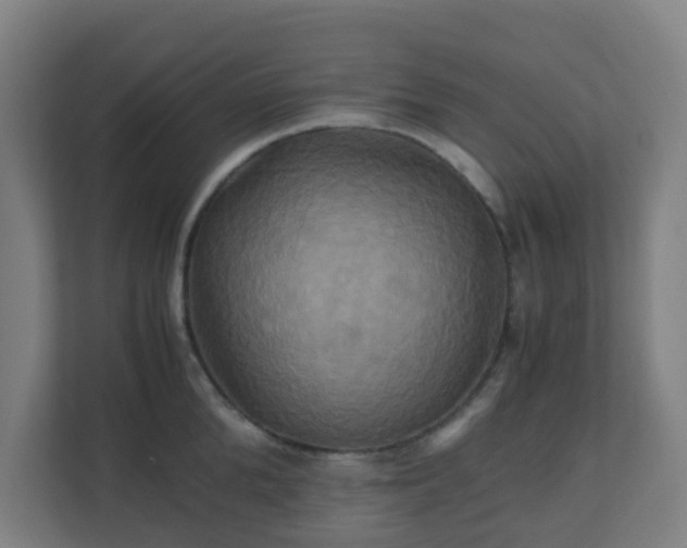 X0000110990904200906261447