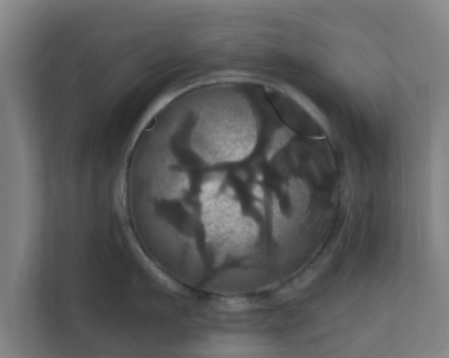 X0000110990911200906261447