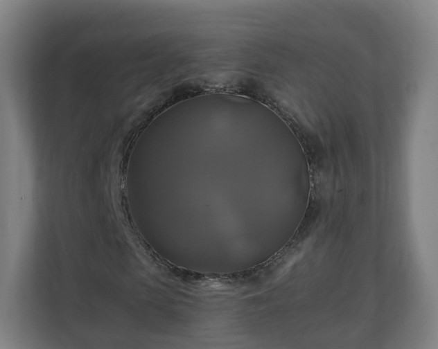 X0000110990913200906261446