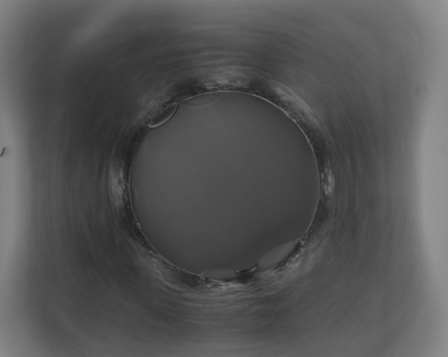 X0000110990915200906261446