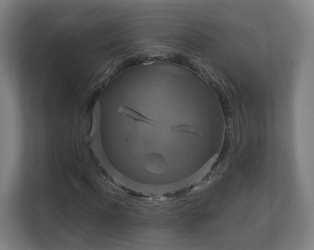 X0000110990916200906261446