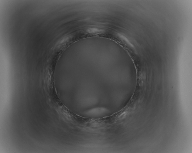 X0000110990917200906261446