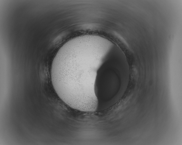 X0000110990918200906261446