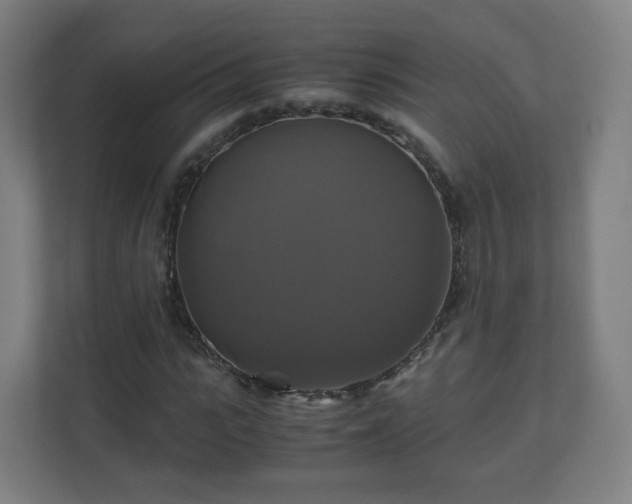 X0000110990919200906261446