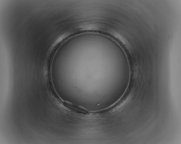 X0000110990922200906261446