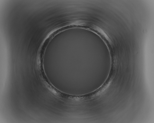 X0000110990923200906261446