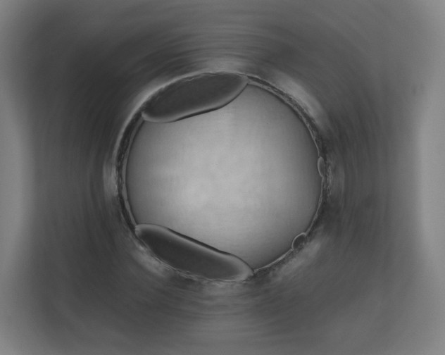 X0000110990924200906261446